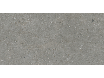 Living Ceramics Керамогранит Bera&Beren Dark grey Natural 29,8x59,8