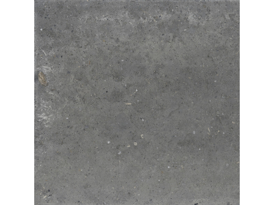 Iris Ceramica Керамогранит Whole Stone grey naturale 120x120