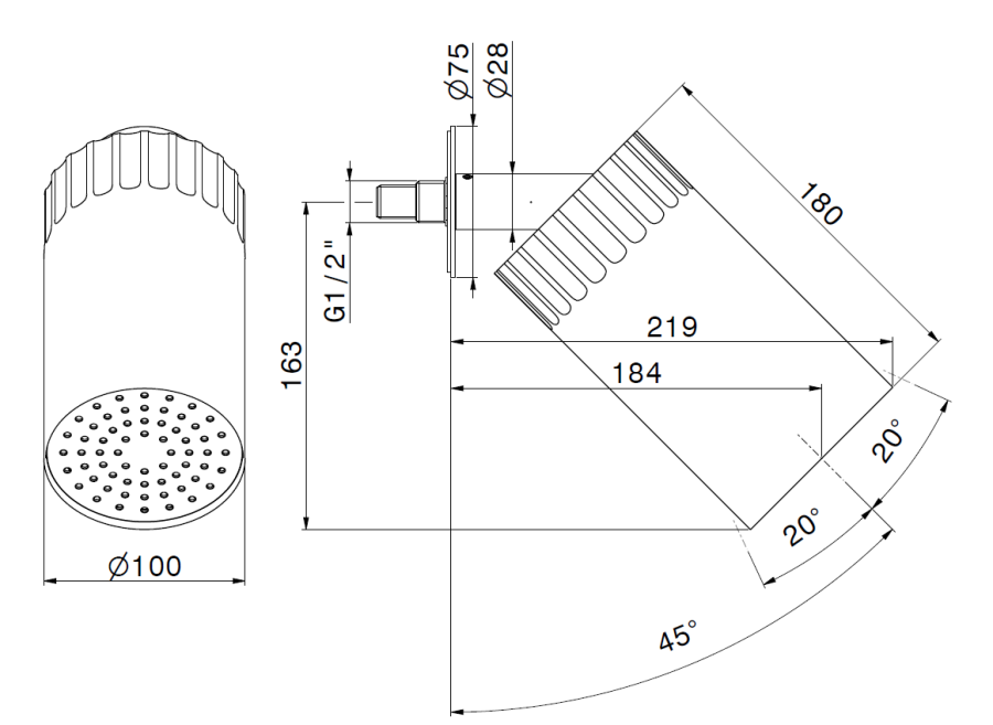 Верхний душ Newform Ionika, настенный, с тропическим душем, цвет PVD Brushed Pale gold - изображение 1
