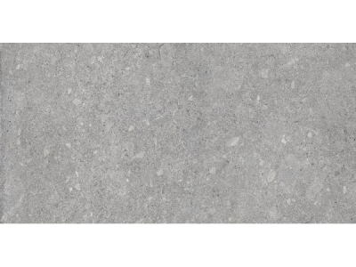 На изображении товар Terratinta Ceramics керамогранит Vicentina Matt rectified Cenere 30x60 / 9.0 от официального представителя в Москве