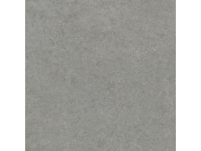 Living Ceramics Керамогранит Bera&Beren Dark grey Natural 119,8x119,8