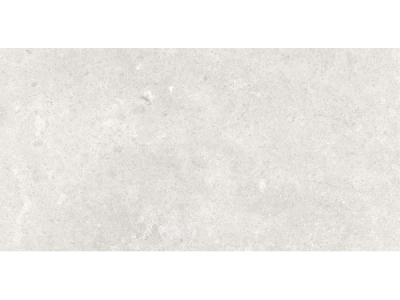 На изображении товар Terratinta Ceramics керамогранит Less Matt White 10x60 / 8.5 от официального представителя в Москве