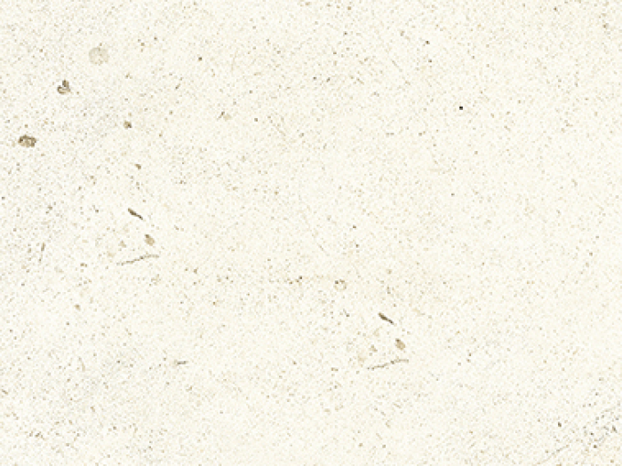 На изображении товар Living Ceramics Керамогранит Bera&Beren White Natural 9,8x59,8 от официального представителя в Москве