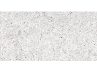 На изображении товар TERRATINTA CERAMICS Керамогранит VICENTINA Matt rectified Bianco 60x120 / 9.0 от официального представителя в Москве
