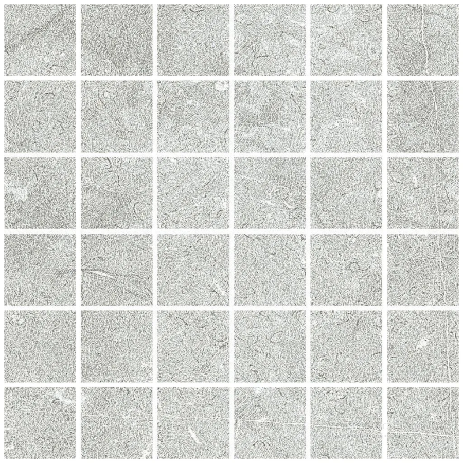 Living Ceramics Керамогранит Noon Grey Mosaic 55 Soft textured 29,8x29,8