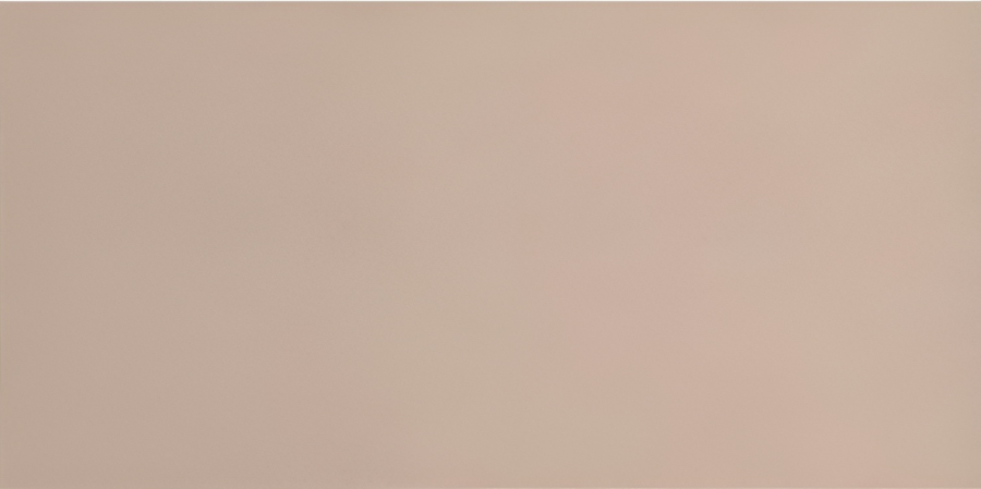 Micro. Керамогранит Microtiles Rectangular Terracotta 5x10