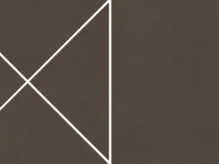 На изображении товар Living Ceramics Керамогранит Cava Pattern 3 Brown Natural 7,3x29,8 от официального представителя в Москве