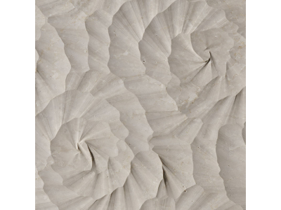 Lithos design Камень Marble Wall Coverings Pietre Incise Organic Sahara 120x60x2