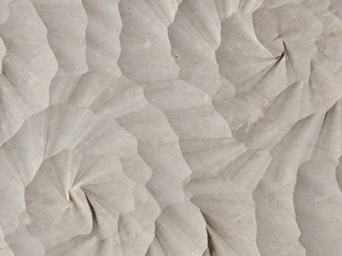 На изображении товар Lithos design Камень Marble Wall Coverings Pietre Incise Organic Sahara 120x60x2 от официального представителя в Москве