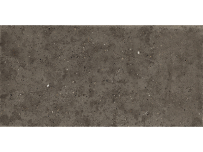 Iris Ceramica Керамогранит Whole Stone tobacco antislip 120x60