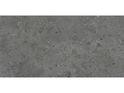 Iris Ceramica Керамогранит Whole Stone grey antislip 60x30