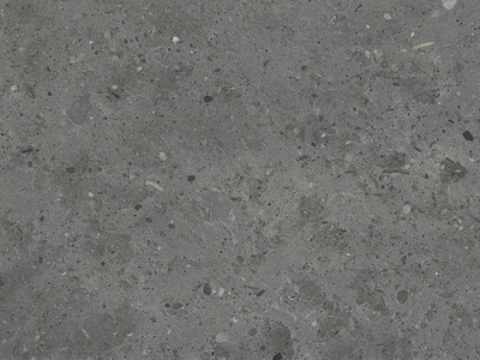 На изображении товар Iris Ceramica Керамогранит Whole Stone grey antislip 60x30 от официального представителя в Москве