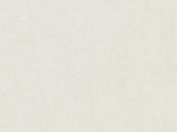 На изображении товар Living Ceramics Керамогранит Cuit Bone Soft textured 119,8х269,8 от официального представителя в Москве
