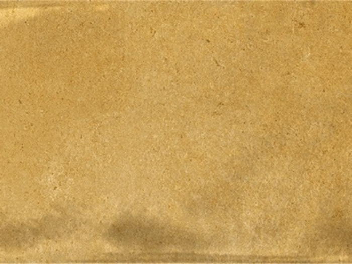На изображении товар La Fabbrica Ava Керамическая плитка Small Smll Ocher 5,1X16,1 от официального представителя в Москве