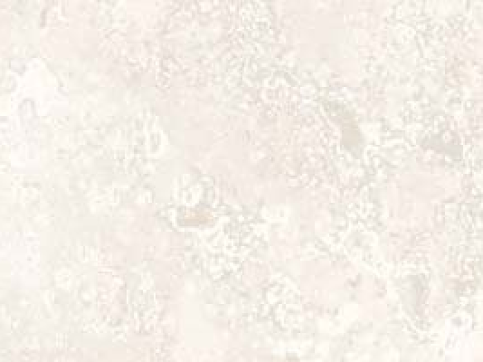 На изображении товар Santagostino Керамогранит Via Appia Cross Cut White 730 Kry, 7,3x29,6 от официального представителя в Москве