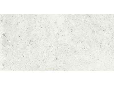 Iris Ceramica Керамогранит Whole Stone white naturale 60x30
