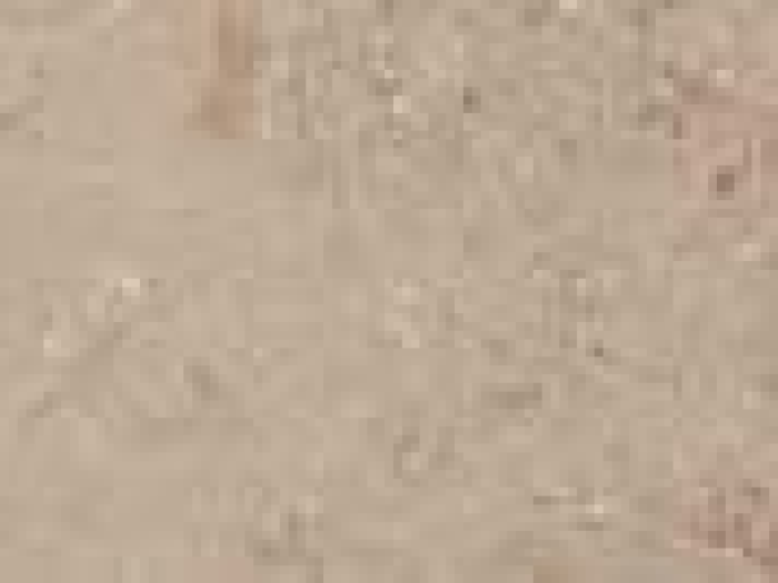 На изображении товар Santagostino Керамогранит Unionstone Jura Stone 560, 5x60 от официального представителя в Москве