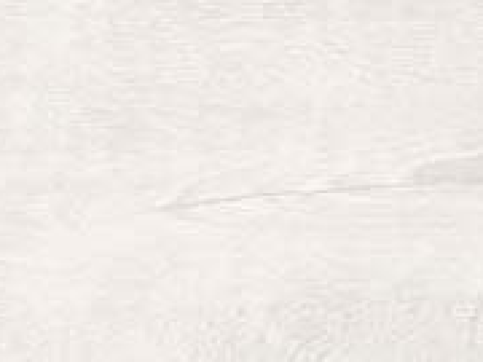 На изображении товар Santagostino Керамогранит Timewood White 20120, 20x120 от официального представителя в Москве
