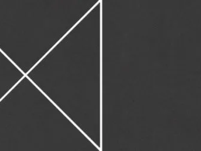 На изображении товар Living Ceramics Керамогранит Cava Pattern 3 Black Natural 7,3x29,8 от официального представителя в Москве