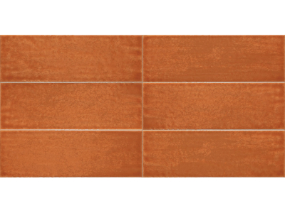 Iris Ceramica Керамическая плитка Maiolica Arancio glossy 10x30