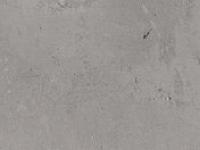 На изображении товар Santagostino Керамогранит Duo Front Taupe 1060, 10x60 от официального представителя в Москве