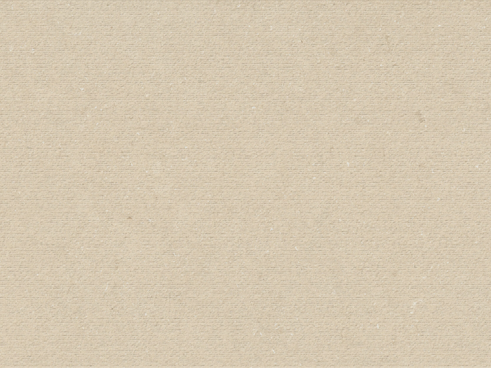 На изображении товар Iris Ceramica Керамогранит Victorian Stone Limestone beige structured 60x30 от официального представителя в Москве
