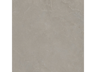 La Fabbrica Ava Керамогранит Noble Stone Taupe Nat Ret 100x100