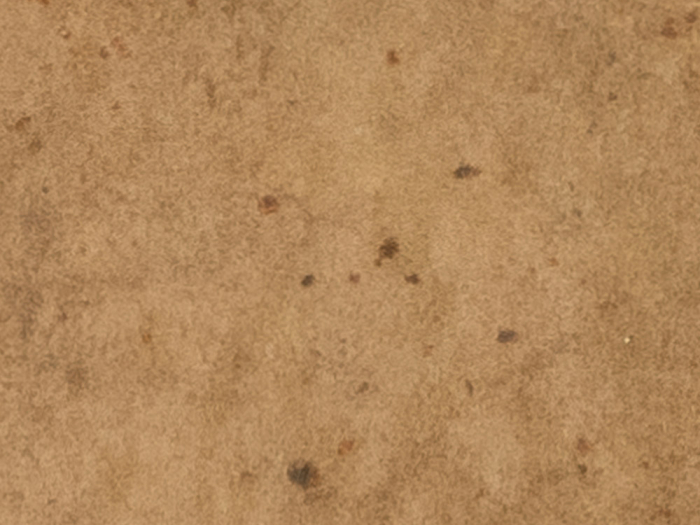 На изображении товар Sartoria Керамогранит Materici Cedro Glossy 6x25 от официального представителя в Москве