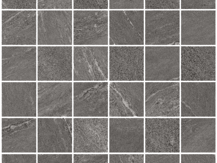 На изображении товар Santagostino Керамогранит Waystone Mosaico Dark, 30x30 от официального представителя в Москве