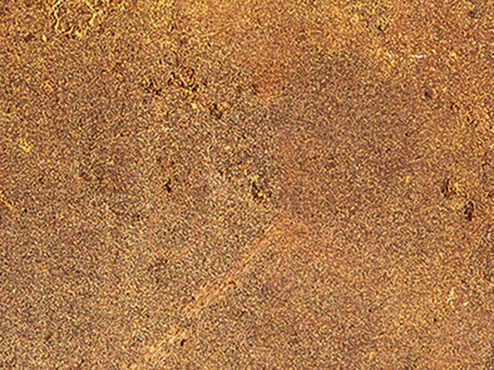 На изображении товар Santagostino Керамогранит Pixel Sienna Luc, 10x10 от официального представителя в Москве