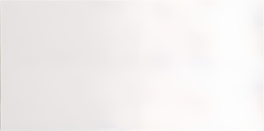 Micro. Керамогранит Microtiles Rectangular White 5x10
