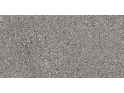 Iris Ceramica Керамогранит Victorian Stone Silver grey natural plus 120x60