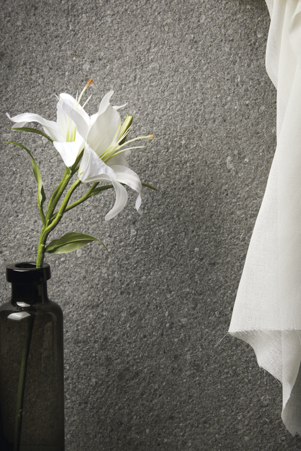 Iris Ceramica Керамогранит Victorian Stone Silver grey natural plus 120x60 - изображение 1