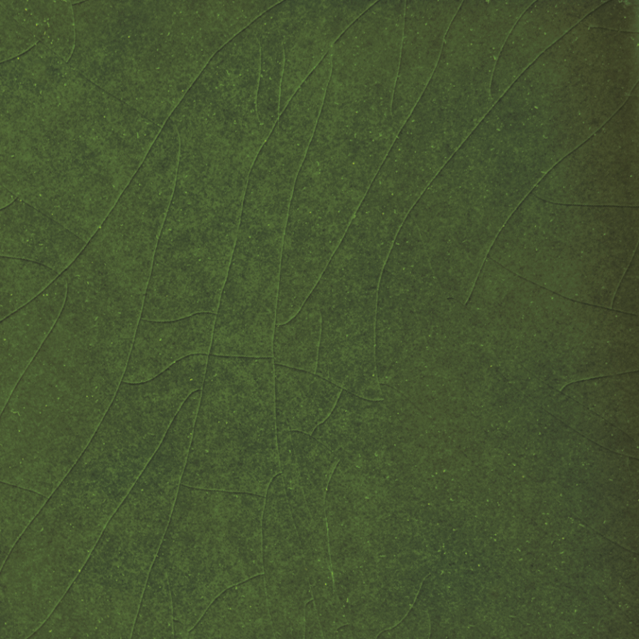 Etruria Керамическая плитка TOWER 3.8X30 Prisma Emerald Green Craquele' Montato Su Rete 20X30 - изображение 1