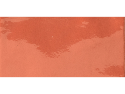 Iris ceramica Керамическая плитка Bottega D'arte Arancio glossy 15x7,5