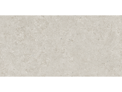 Living Ceramics Керамогранит Bera&Beren Light grey Natural 29,8x59,8