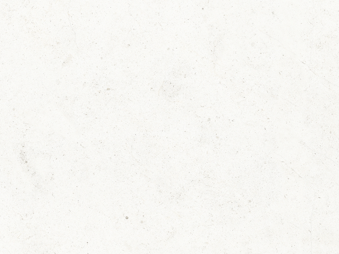 На изображении товар Living Ceramics Керамогранит Bera&Beren Ice Bush hammered 29,8x59,8 от официального представителя в Москве