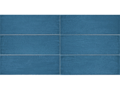 Iris Ceramica Керамическая плитка Maiolica Mare glossy 10x30