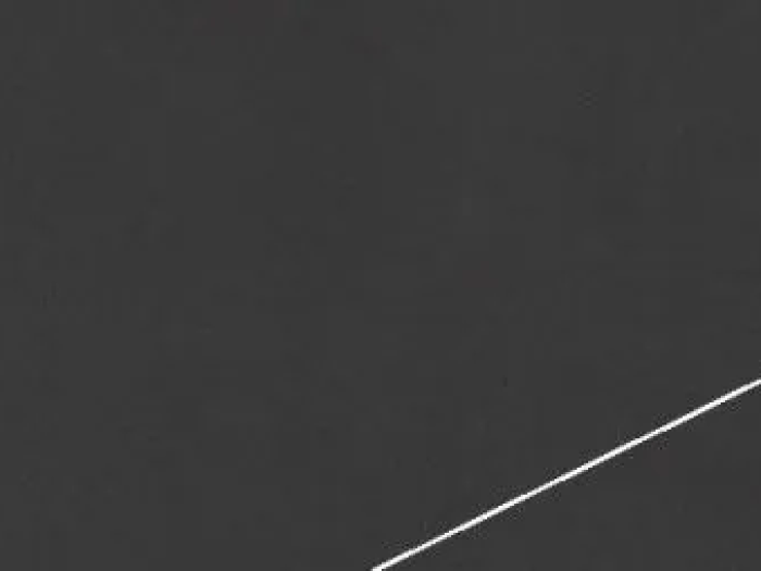 На изображении товар Living Ceramics Керамогранит Cava Pattern 1 Black Natural 7,3x29,8 от официального представителя в Москве
