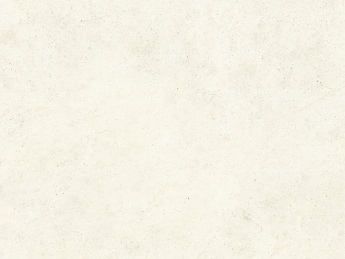 На изображении товар Living Ceramics Керамогранит Bera&Beren White Bush hammered 59,8x119,8 от официального представителя в Москве