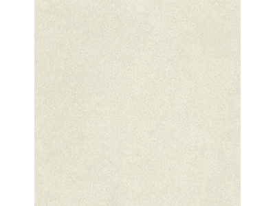 На изображении товар Terratinta Ceramics Керамогранит Grained Matt rectified Plate 120x120 / 10.0 от официального представителя в Москве
