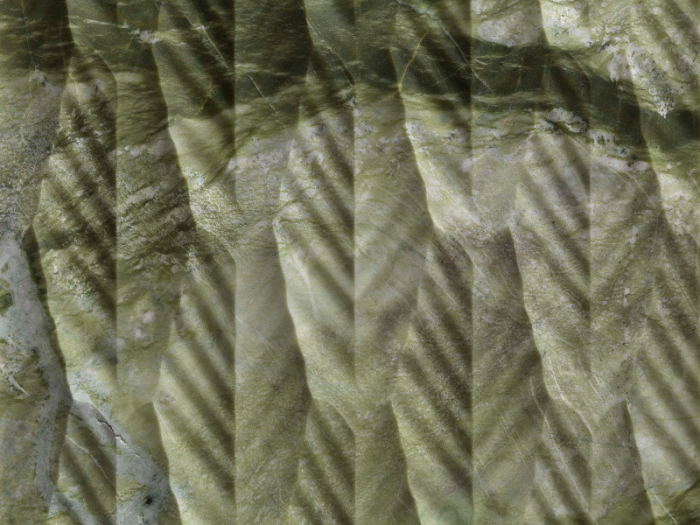 На изображении товар Lithos design Камень Marble Wall Coverings Pietre Incise Organic Palma 120x60x2 от официального представителя в Москве