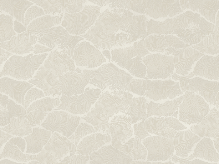 На изображении товар Kronos Ceramiche Керамогранит Materia Gesso Hari 120X280 от официального представителя в Москве