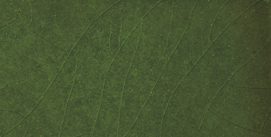 Etruria Керамическая плитка CONCETTO SPAZIALE 13X22.2 Rombo Emerald Green Craquele - изображение 1