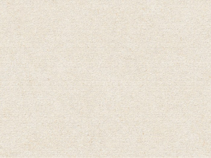 На изображении товар Iris Ceramica Керамогранит Victorian Stone Moon cream structured 60x30 от официального представителя в Москве