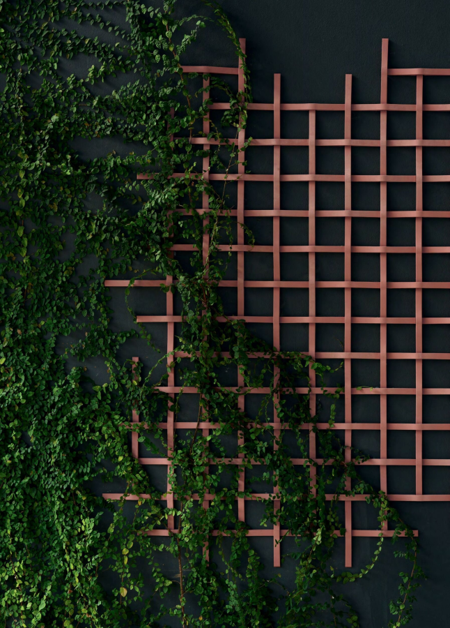 Mutina Adagio Outdoor керамогранит, неглазурованный, цвет Earth - изображение 4