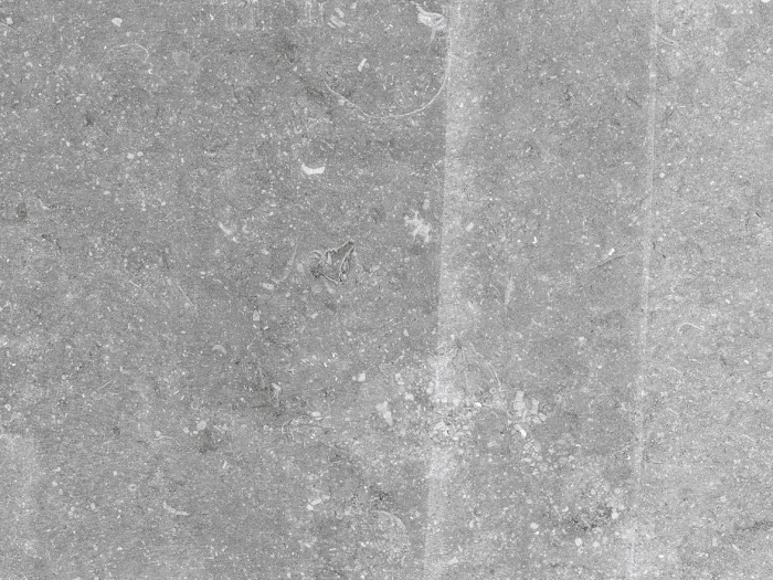 На изображении товар REFIN Керамогранит BLUE EMOTION SCIÉ GREY R 45X90 от официального представителя в Москве