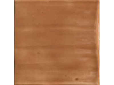 Terratinta Ceramics  Керамогранит VICENTINA XXS Glossy Cotto 11x11 / 9.0