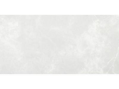 На изображении товар REFIN Керамогранит STARDUST MILK SOFT R 60x120 от официального представителя в Москве