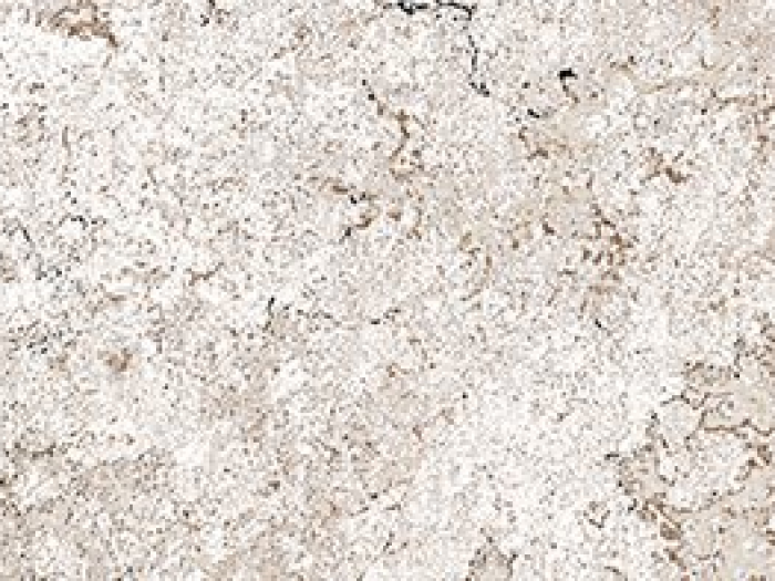 На изображении товар Santagostino Керамогранит Metastone Mud 730, 7,3x29,6 от официального представителя в Москве